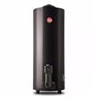 Termotanque Rheem-Nl TGNP120RH 120 Litros A Gas Superior